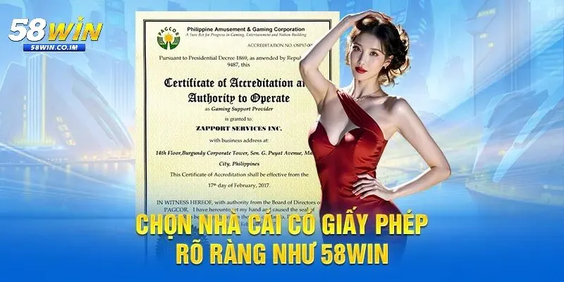 Nền tảng pháp lý và giấy phép hoạt động