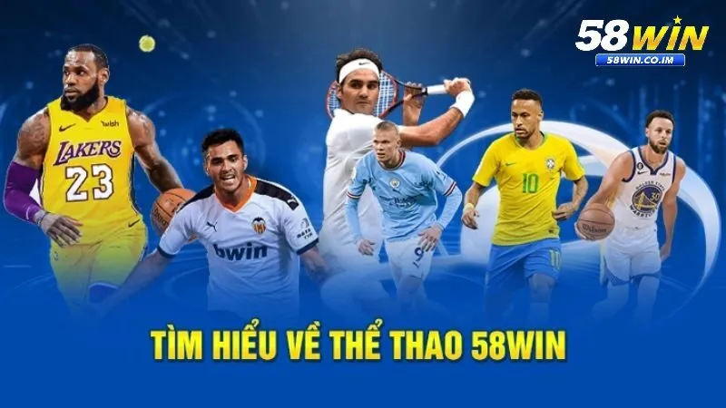 Tại sao thể thao 58Win là lựa chọn hàng đầu của bet thủ
